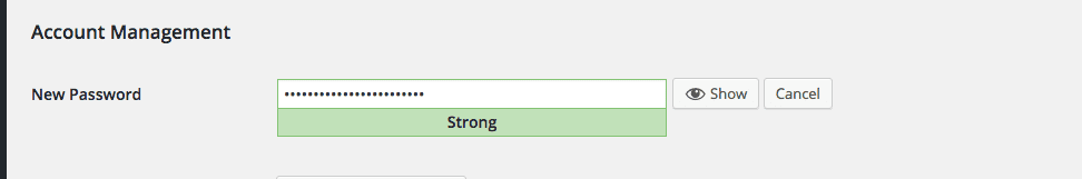 Password-WordPress