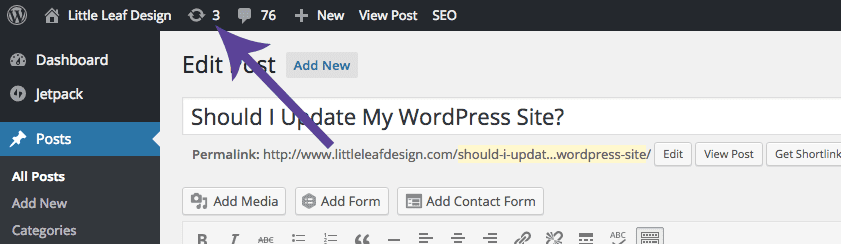 updating-WordPress-site